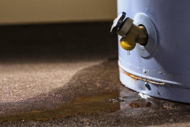 Best Residential water damage restoration  in Oglethorpe, GA