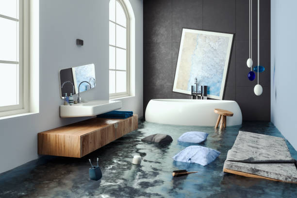 Best Flooded house restoration  in Oglethorpe, GA