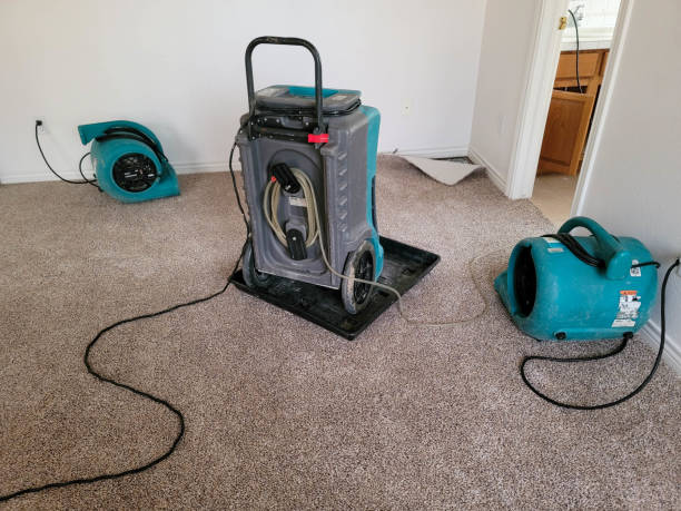 Best Water damage restoration process  in Oglethorpe, GA