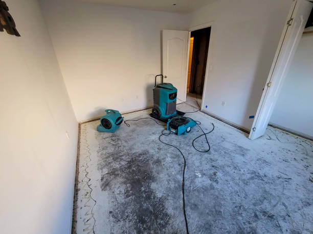 Best Sewage cleanup and water damage restoration  in Oglethorpe, GA