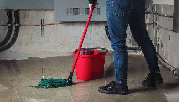 Best Water damage restoration near me  in Oglethorpe, GA