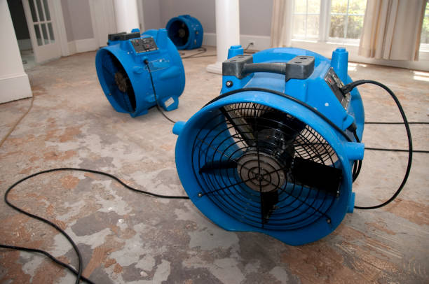 Oglethorpe, GA Water damage restoration Pros
