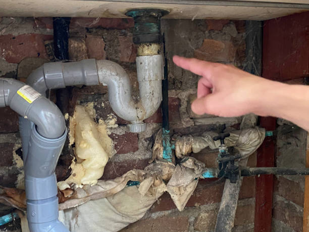 Best Flooded house restoration  in Oglethorpe, GA