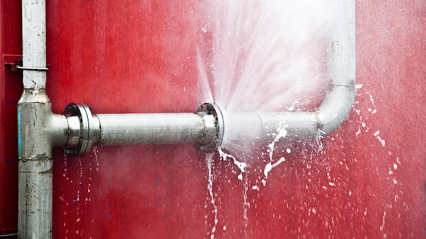 Best Sewage cleanup and water damage restoration  in Oglethorpe, GA