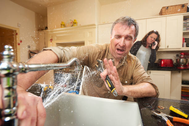 Best Flood restoration services  in Oglethorpe, GA
